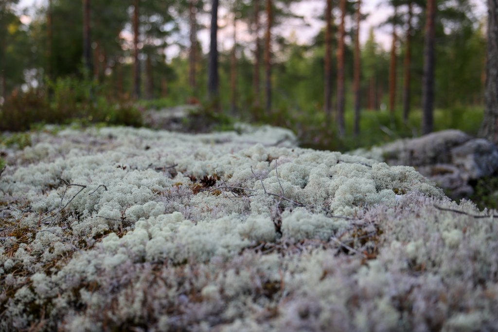 Vältetään jyrkänteen reuna taloudessa
