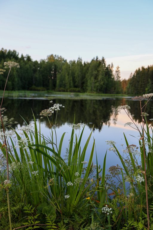 Jokimaisema