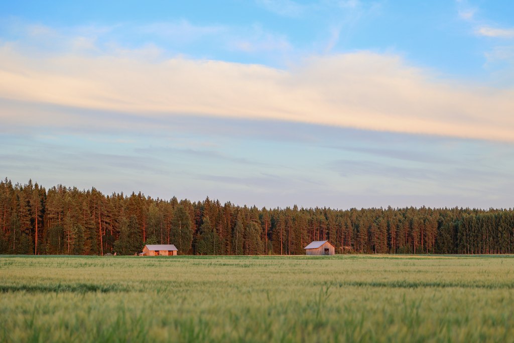 Lakeusmaisema
